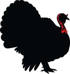 Silhouette of a thanksgiving turkey with fanned tail feathers vector