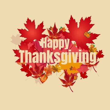 thanksgiving | autumn maple leaf vector | happy thanksgiving animation