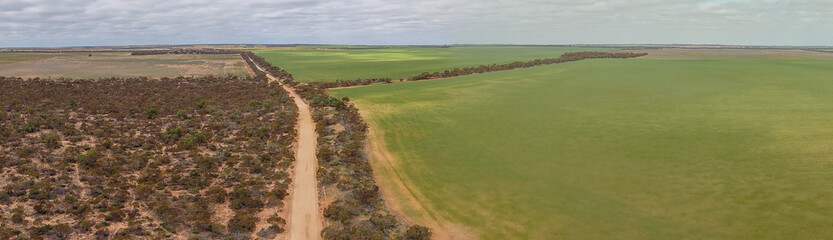 Aerial view of a long, straight sandy road cutting through the dry Mallee landscape near Walpeup, Victoria, bordered by native scrub and farmland under a bright sky. 