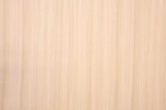 Light Wood Texture Background
