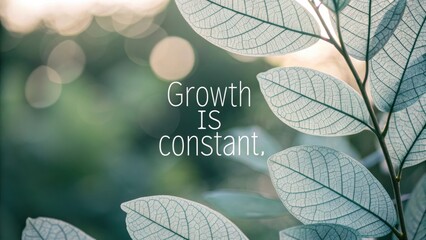 Inspirational quote about growth with soft focus green background featuring delicate leaves and motivational message design