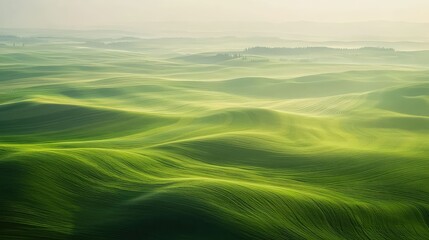 The endless, rolling green hills of the Palouse in Washington state, with abstract patterns created by wheat fields and farmland, soft morning light emphasizing the smooth contours, aerial drone shot