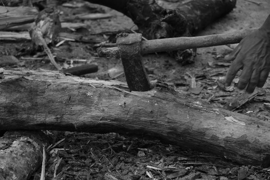 An elderly man wearing a simple shirt and lungi is chopping dry wood with an axe in a rural outdoor setting, surrounded by bamboo and logs, reflecting the hardworking spirit of village life.