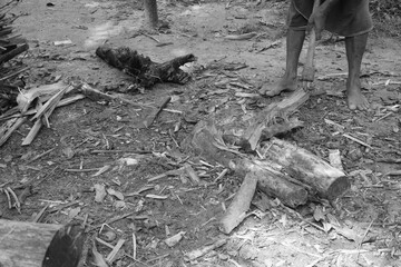 Obraz premium The old man’s focused posture as he splits wood on dry earth captures the timeless rhythm of rural India, where every task reflects patience, strength, and daily survival.