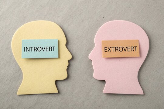 Silhouettes of Extrovert and Introvert Heads Placed Face to Face