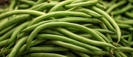 The Long Green Beans Pile Ready for Market, Home Cooking and Healthy Eating