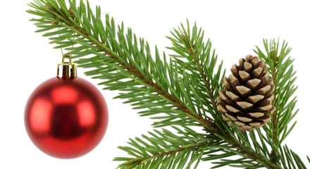 A close-up shot of a red Christmas ornament and a pine cone hanging from a green fir tree branch.