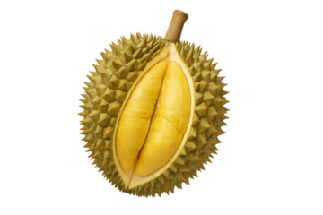 Durian fruit with spiky thorn skin cut open revealing yellow flesh, ready for eating, on transparent background