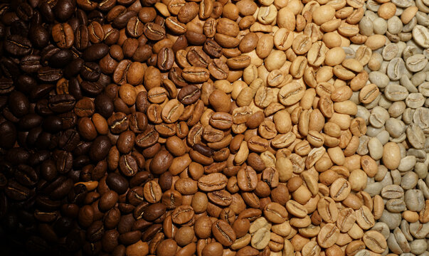 Different roast levels of coffee beans background texture. Coffee beans from raw green to dark roasted close up. Macro photo of coffee bean gradient. Arabica beans showing coffee roasting stages.