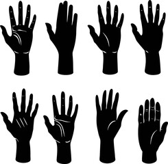 hands vector illustration