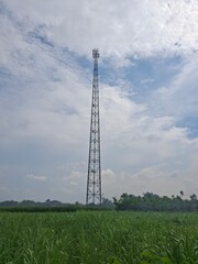 telecommunications tower built in rice field area