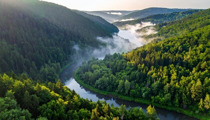 A winding river flows through misty forested hills, glowing softly in golden morning light.