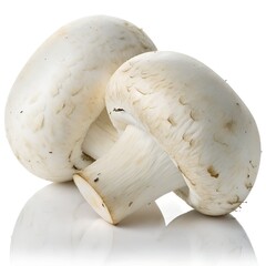 Whole Premium White Mushrooms on Pure White Background – Ultra High-Resolution Studio Food Photography