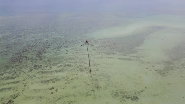 unique Belitung fishing weir stretches across the crystal-clear, massive ocean tidal fla