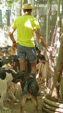 Dog breeder opening cage for a pack of alaskan huskies