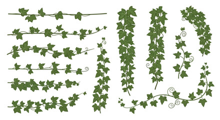 green grass isolated on white