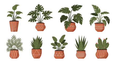 set of plants in pots