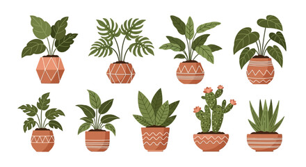 set of flowers in pots