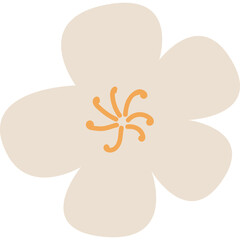 A Delicate Pale Orange and White Flower Illustration with a Transparent Background Symbolizing Spring and Summer Blooms