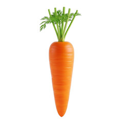 3d realistic orange carrot with green stems fresh vegetable render
