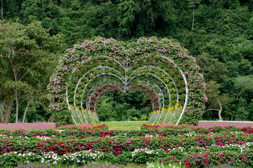 Agriculture, Color Image, Community Garden, Cultivated, Environment