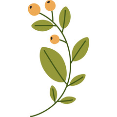A Simple Botanical Illustration Features a Thin Stem with Oval Leaves and Round Orange Berries on a White Transparent Background Ideal for Graphic Design Elements and Nature Themed Projects