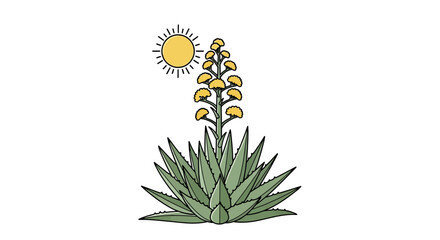 Botanical illustration of agave plant with sunlight isolated on a white background