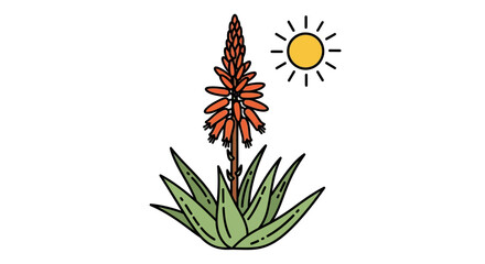 Colorful illustration of flowering aloe vera plant under a beaming sun graphic design
