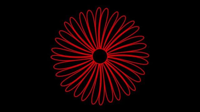 Red Flower Outline Rotating Animated Loop Daisy Petals on Black Background