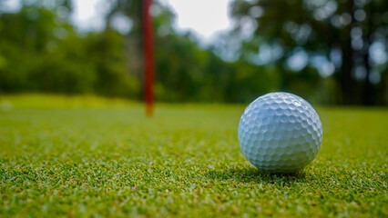 Golf ball is on a green lawn in a beautiful golf course with morning sunshine.