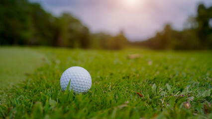 Golf ball is on a green lawn in a beautiful golf course with morning sunshine.