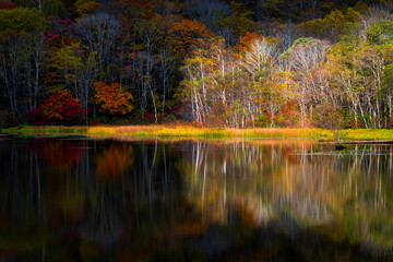 鏡池　秋　紅葉