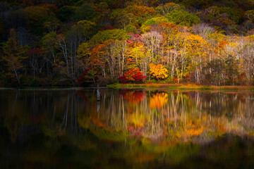 鏡池　秋　紅葉