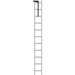 Silver Metal Firefighter Ladder With Black Top Rung Against A White Transparent Background