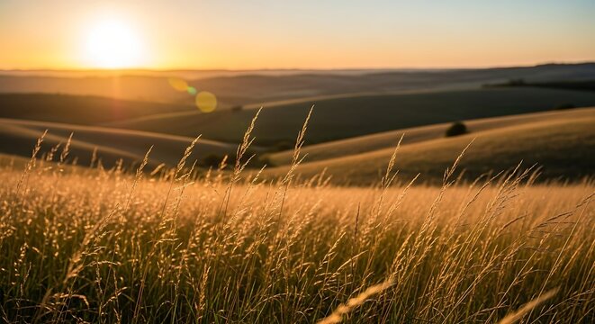 Golden light illuminates vast rolling hills covered in dry grass during a serene sunrise or sunset, creating a breathtaking and expansive natural landscape view