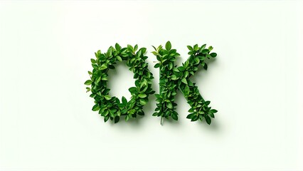 OK in bold letters, with leaves growing out from the edges, set on a clean, simple background.