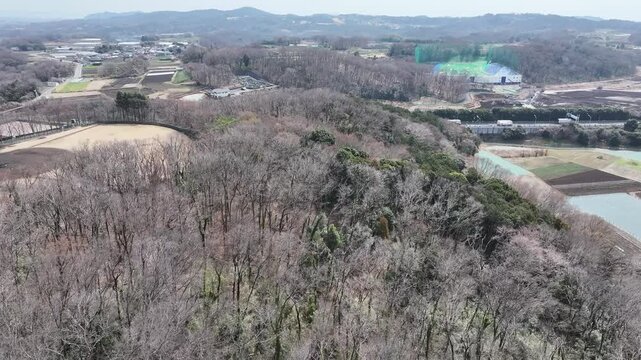 Drone flies over a forest in Hadano, Japan, approaching a busy highway. Captures trees, city outskirts, and moving vehicles. Perfect for urban, nature, or transportation videos.