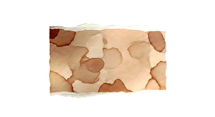 Close up of textured sycamore tree bark with irregular patches of light and dark brown isolated on transparent background
