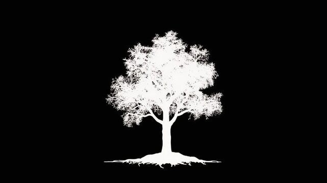 Growing Tree Silhouette animation.
