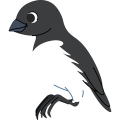 Charming Cartoon Bird Illustration on Transparent Background With Simple Black and White Body and Blue Eyes