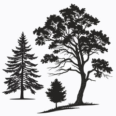 Obraz premium Silhouette of various trees in vector format