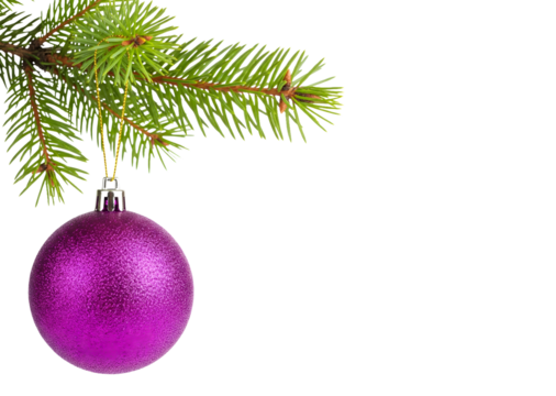 Christmas tree purple ornament hanging on for tree branch decoration isolated on white or transparent background