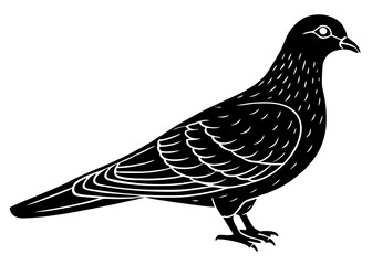 vector illustration of a hen