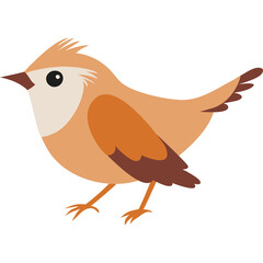 Cute Cartoon Bird Illustration With Transparent Background And Stylized Design