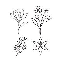 Four different flower outlines for your designs