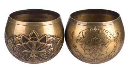 Vietnamese bronze drum floral motifs duo isolated on transparent background