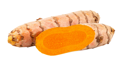 Fresh turmeric root duo composition isolated on transparent background