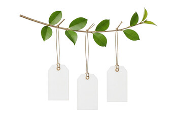 Tags hanging on a plant branch with green leaves isolated on transparent background