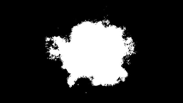 Transitions of black expanding paint stains on white backdrop Grunge Ink spreads and fills the screen. flows and streams. Ink bloom. Black color inks drop composition splatter effect.