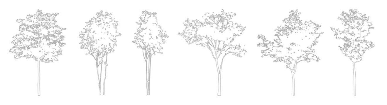 Architectural Tree Outline Drawings, Minimal CAD Line Trees for Site Plans